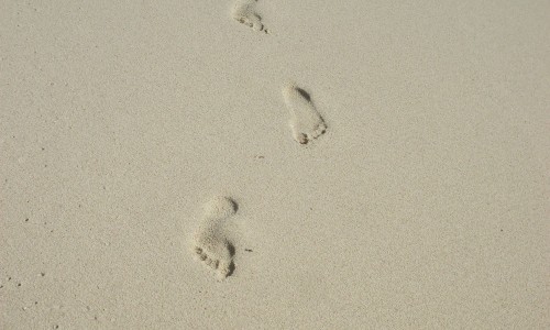 Praslin Dream